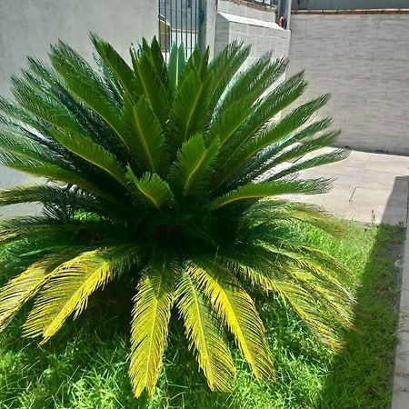 Casa agradável em Camboriú com estacionamento no pátio Camboriu Exterior foto