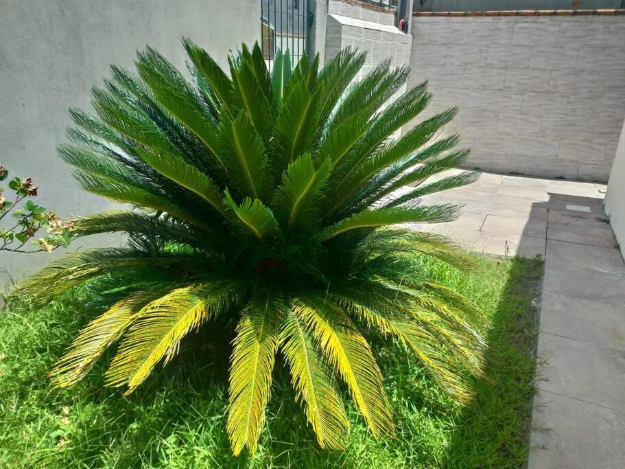 Casa agradável em Camboriú com estacionamento no pátio Camboriu Exterior foto